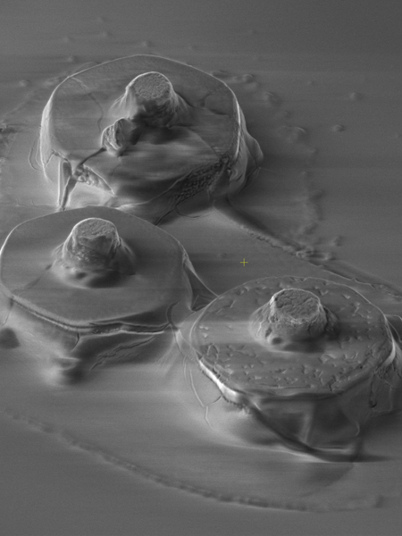 Photonics Technology